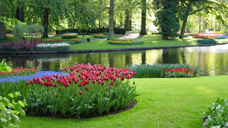 Keukenhof Gardens, Holland, The Netherlands