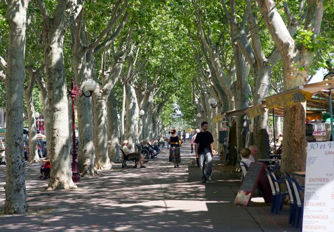 Les Allées Pierre Paul Riquet at Béziers