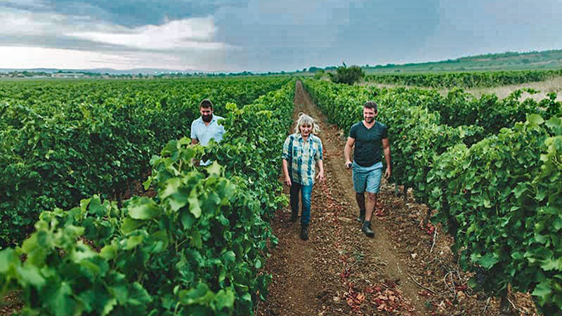Canal du Midi - Chateau de Paraza Vineyard