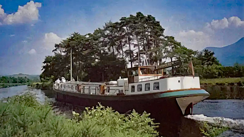 Scottish Highlander aka Vertrouwen